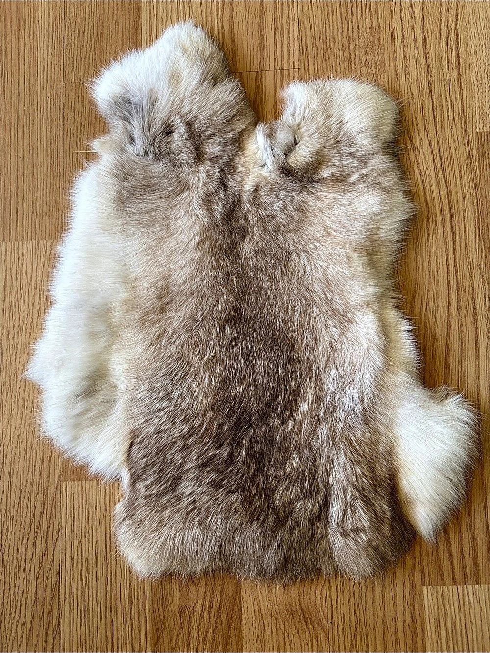B0036 premium natural rabbit fur pelt